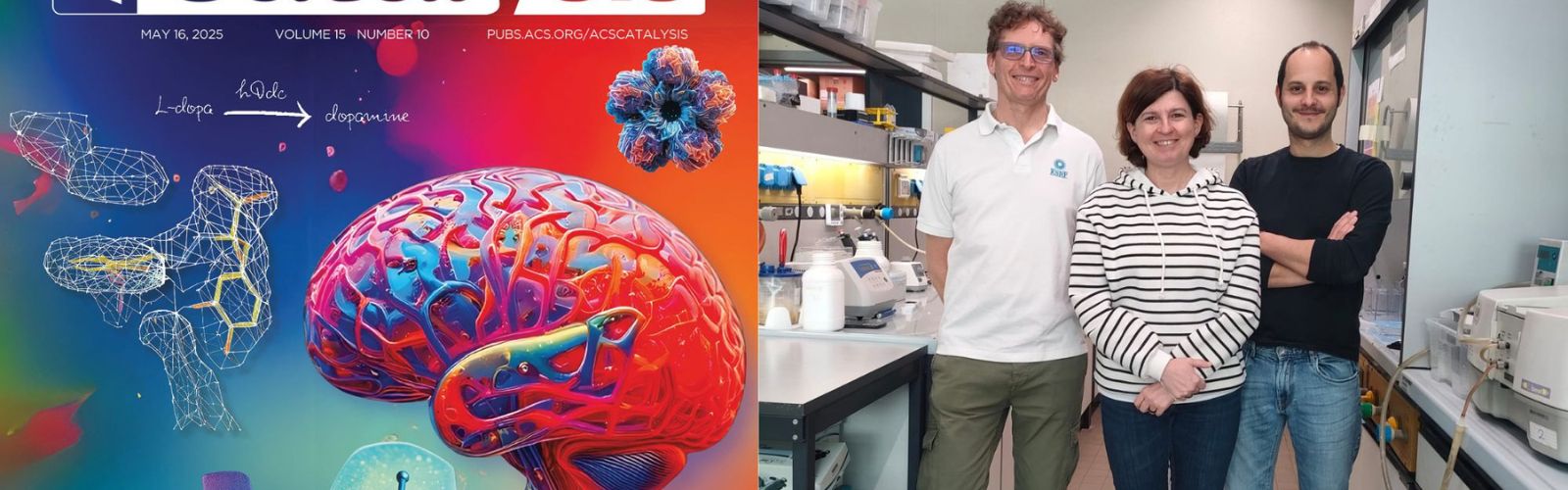 Ricerca Univr apre nuove prospettive per la progettazione di farmaci
